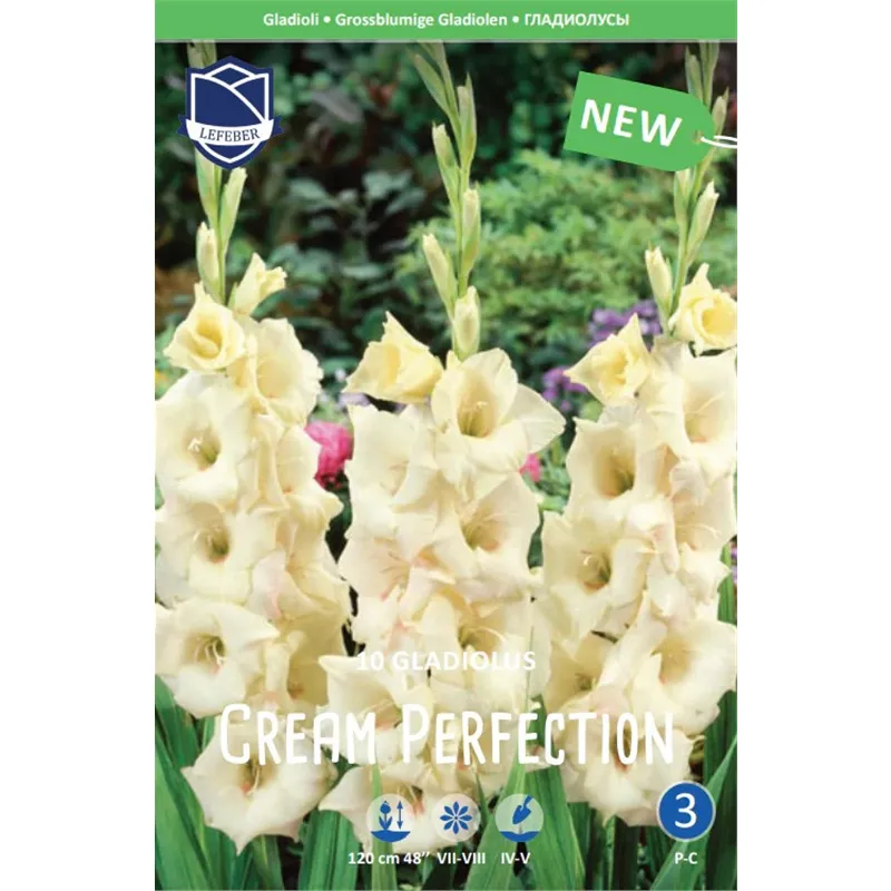 Луковица Гладиолус Крим Перфекшн 12/14 10шт 