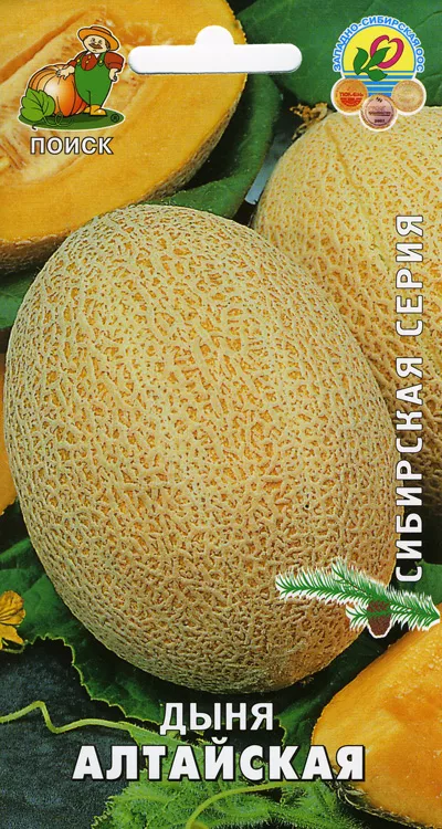 Семена дыня Алтайская Сибирская кол 15шт Поиск 