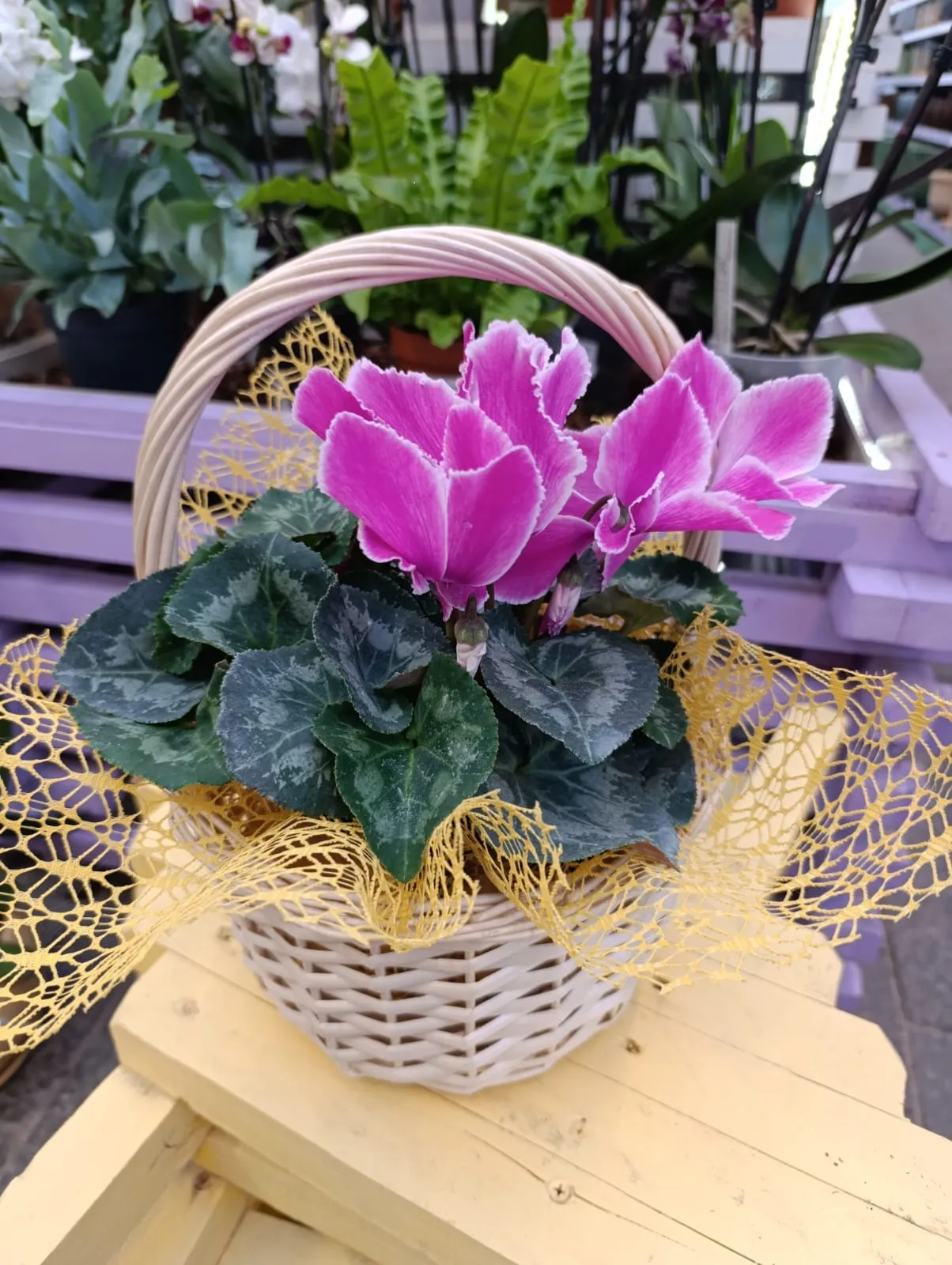 Композиция из цветов 2990 руб 