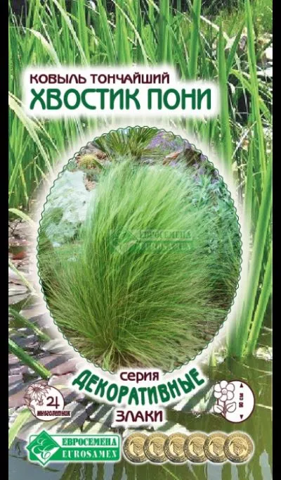 ОсновноеИзображение