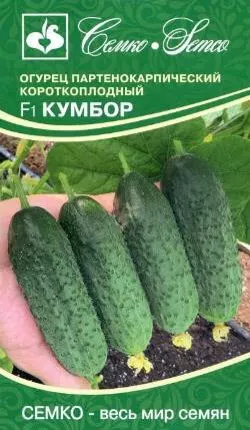 Семена Огурец партенокарпический Кумбор F1 5 шт Семко 