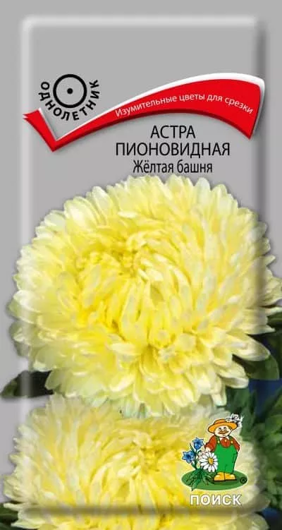 ОсновноеИзображение