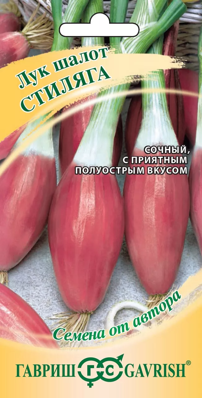 Семена Лук шалот Стиляга 0,3  г автор.  Гавриш 