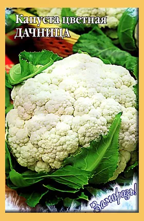 Семена капуста цветная Дачница 0,2г сер Заморозь Гавриш 