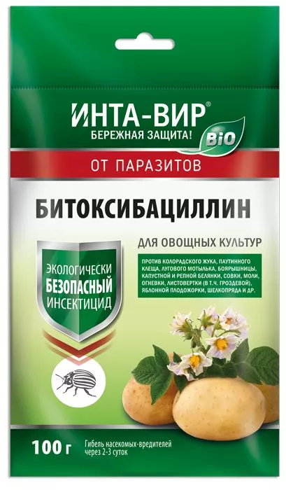 Основное изображение