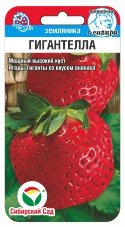 Семена Земляника Гигантелла 10шт Сибирский Сад 