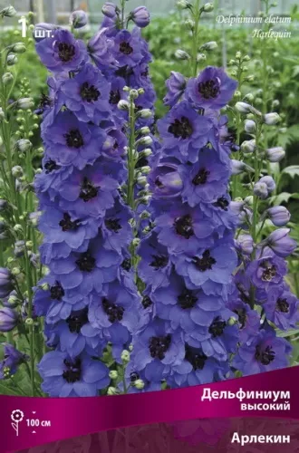 Корневище Дельфиниум высокий Арлекин 1 шт Поиск 