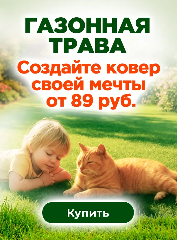 Газонная трава