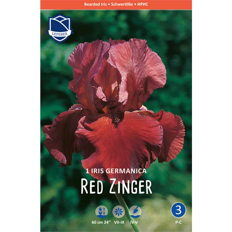 Корневище Ирис германский Рэд Зингер I 1шт 