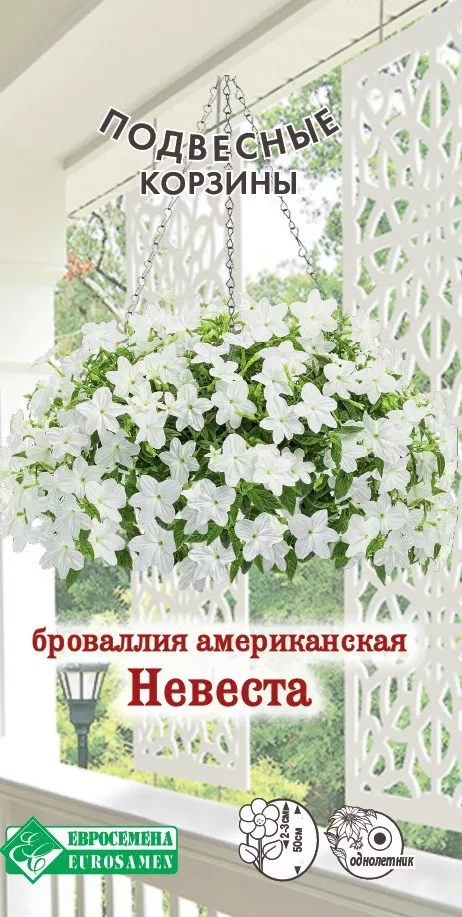 ОсновноеИзображение