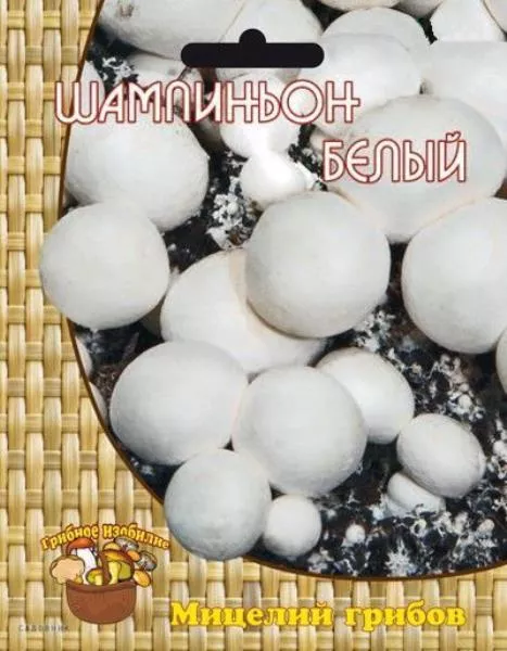 Основное изображение