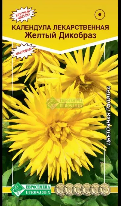 ОсновноеИзображение