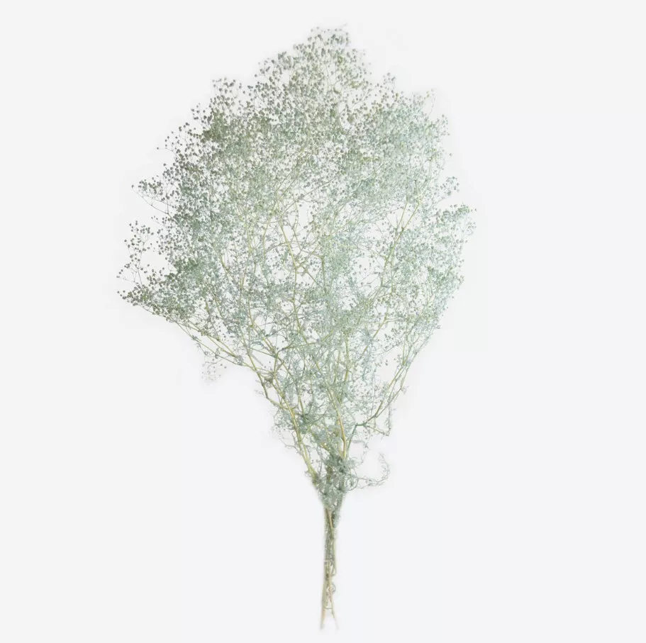 Сухоцветы Гипсофилы набор 50гр 60см, голубой по цене 