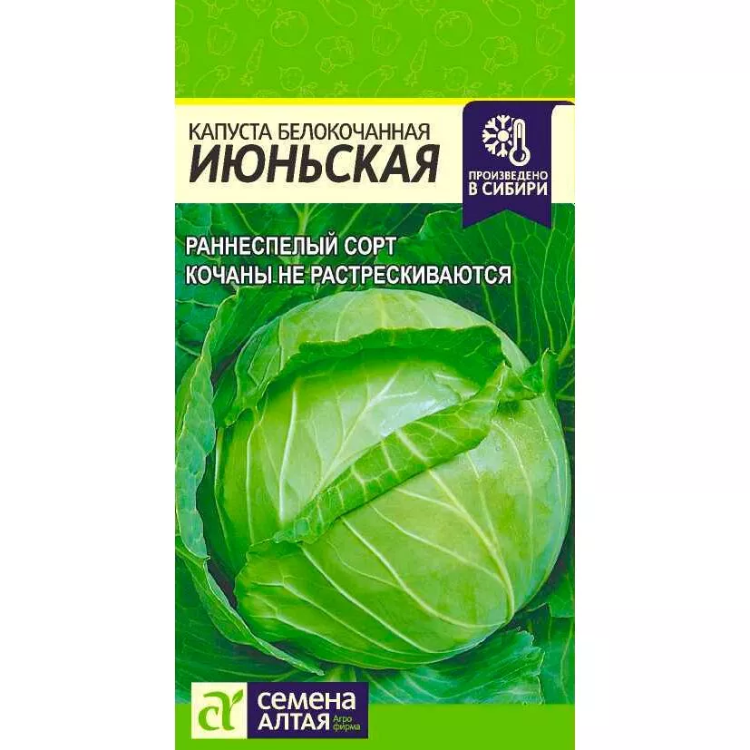 Семена Капуста белокочанная Июньская 0,5 гр. Семена Алтая 