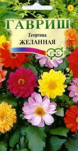 Семена георгина Желанная смесь окрасок 0,3г Гавриш 