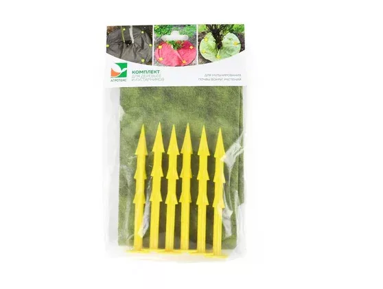 ОсновноеИзображение