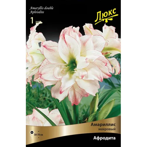 Луковица Амариллис махровый Афродита 1шт Поиск 