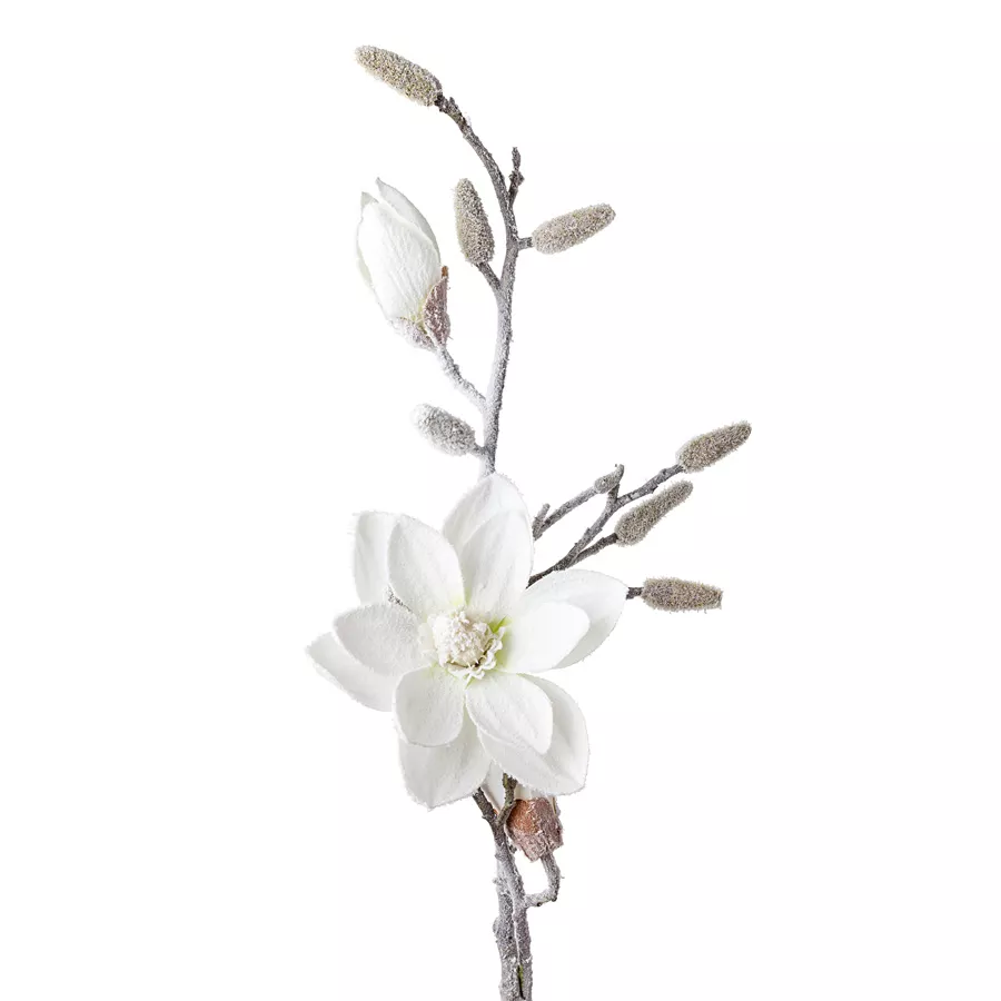 Магнолия заснеженная белый 86 см по цене 