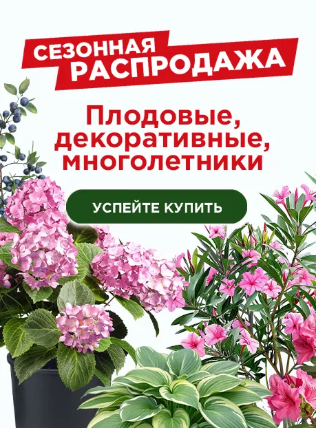 Распродажа