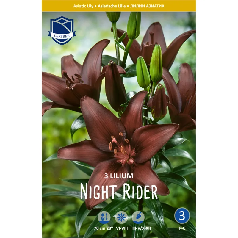 Луковица Лилия азиатская Найт Райдер 14/16 3шт 