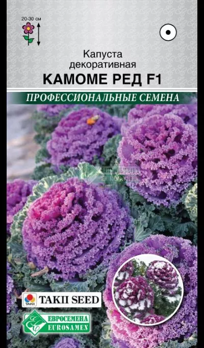 ОсновноеИзображение