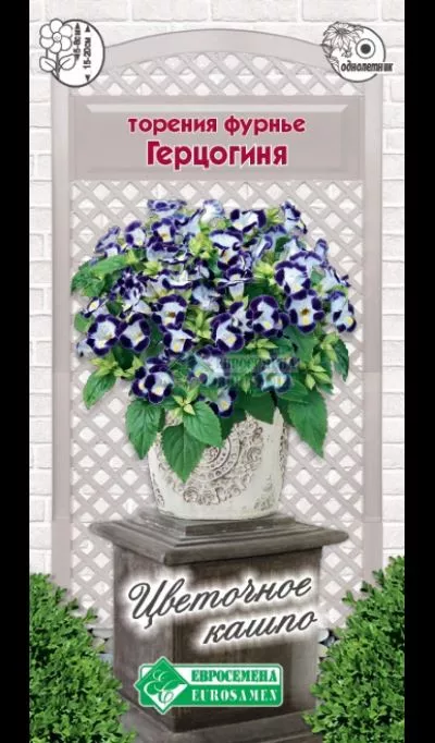 ОсновноеИзображение