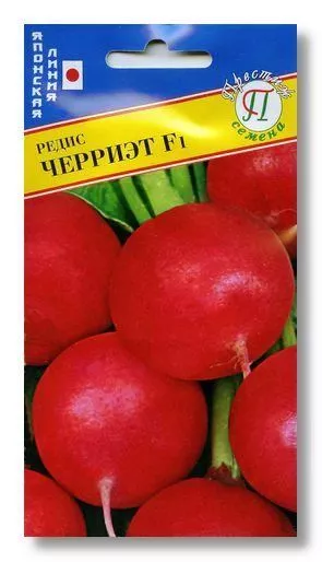 Основное изображение