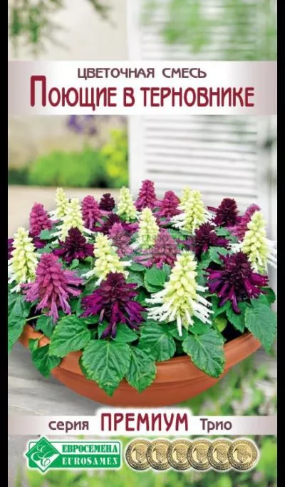 ОсновноеИзображение