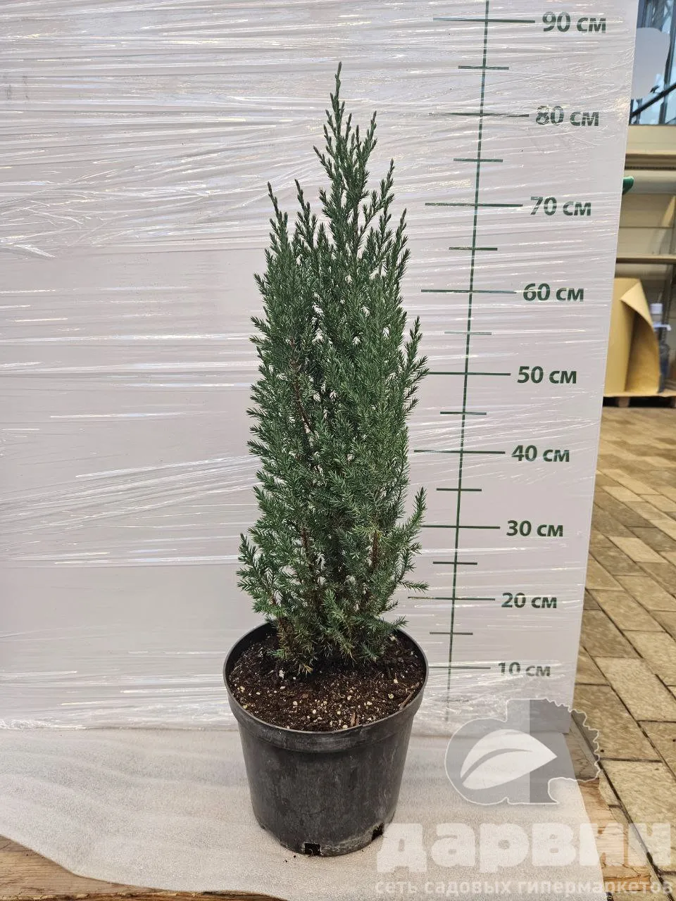 photo_5336922514178903385_y ватермарка